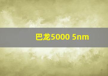 巴龙5000 5nm